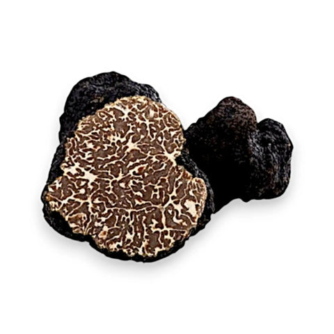 Black truffle slice with white veining from Bagnoli Truffle Tuber Mesentericum with powerful phenolic aroma