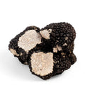 Fresh black summer truffle with white marbling from Tuber Aestivum B-grade