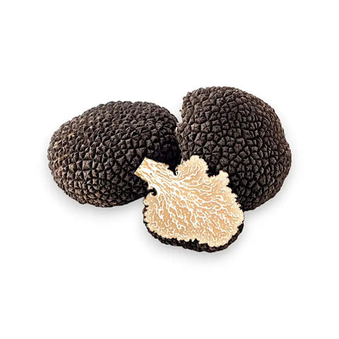 showing product picture of fresh summer truffle tuber aestivum extra-grade