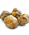 Fresh white Tuber Magnatum Pico truffle cluster with rough-textured golden mushrooms